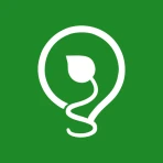 MCSS icon