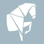 عساف | ASSAF icon