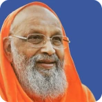 Teachings of Swami Dayananda icon