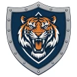Babr VPN - سریع و قدرتمند icon