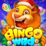 Bingo Wild - Bingo classique icon