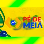 Pé de Meia Renda Aluno Guia icon