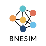 BNESIM: eSIM, Voice, Room, VPN icon