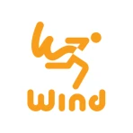 Wind icon