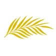Cineast icon