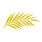 Cineast icon