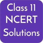 Class 11 NCERT Solutions icon