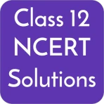 Class 12 NCERT Solutions icon