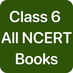 Class 6 NCERT Books icon