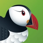 퍼핀 웹 브라우저 icon