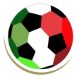Calcio Risultati in Diretta icon