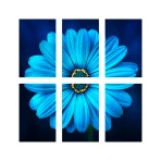 Imprimir pôster icon