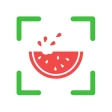 NutriPic: Calorias Pela Foto icon