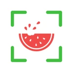 NutriPic: Calorias Pela Foto icon