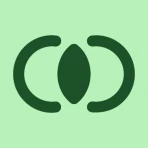 Hyper Bridge icon