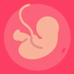 Idade Gestacional (do bebê) icon