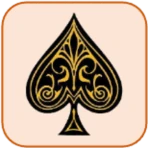 Callbreak Card Game icon