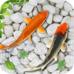 मछली जीना वॉलपेपर मछलीघर koi icon