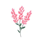 Fleur - Rozpočet & Výdaje icon