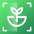 Plant Identifier - Iplant icon