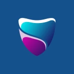 Flux VPN icon