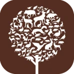 ChassAdapt icon