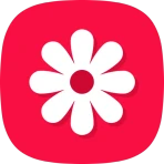 Galerie – Fotogalerie, Album icon