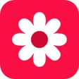 Gallery icon