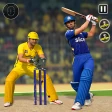 विश्व चैंपियन क्रिकेट गेम 3D icon