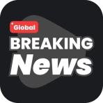 Global Vista News icon