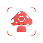 Picture Mushroom - Mushroom ID icon