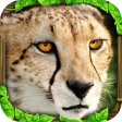 Cheetah Simulator icon