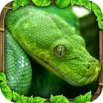 Snake Simulator icon