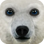 Ultimate Arctic Simulator icon