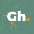 Golfamore (Golfhäftet) icon