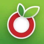 Liste de courses OurGroceries icon