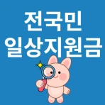 일상지원금 - 전국민 국민보조금 알림 icon