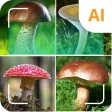 Identyfikator grzybów