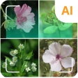 Planteidentifierer icon