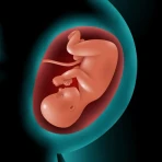 Astha Pregnancy & Parenting icon