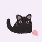 카톡 테마 - Black Cat 흑당이 icon