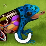 Hvordan fungerer dyr? icon