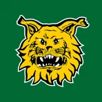 Tampereen Ilves icon
