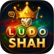 Ludo Shah - Dice Board Game icon