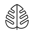 Monstera - Planteguide icon