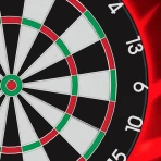 Darts Match Live! - PVP Darten icon