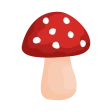 Shroomify - Mushroom ID icon