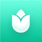 PlantIn plantes reconnaissance icon