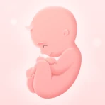 Meine Schwangerschaft icon