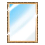 Phone Mirror app - True Mirror icon